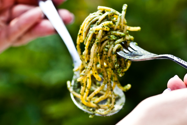 The best vegan pesto, ready in five minutes